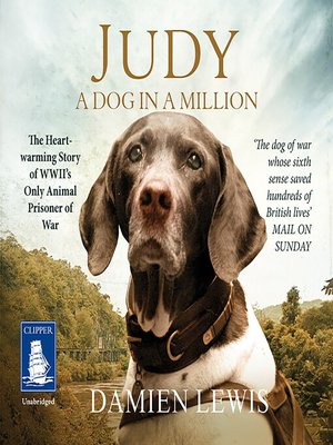cover image of Judy
